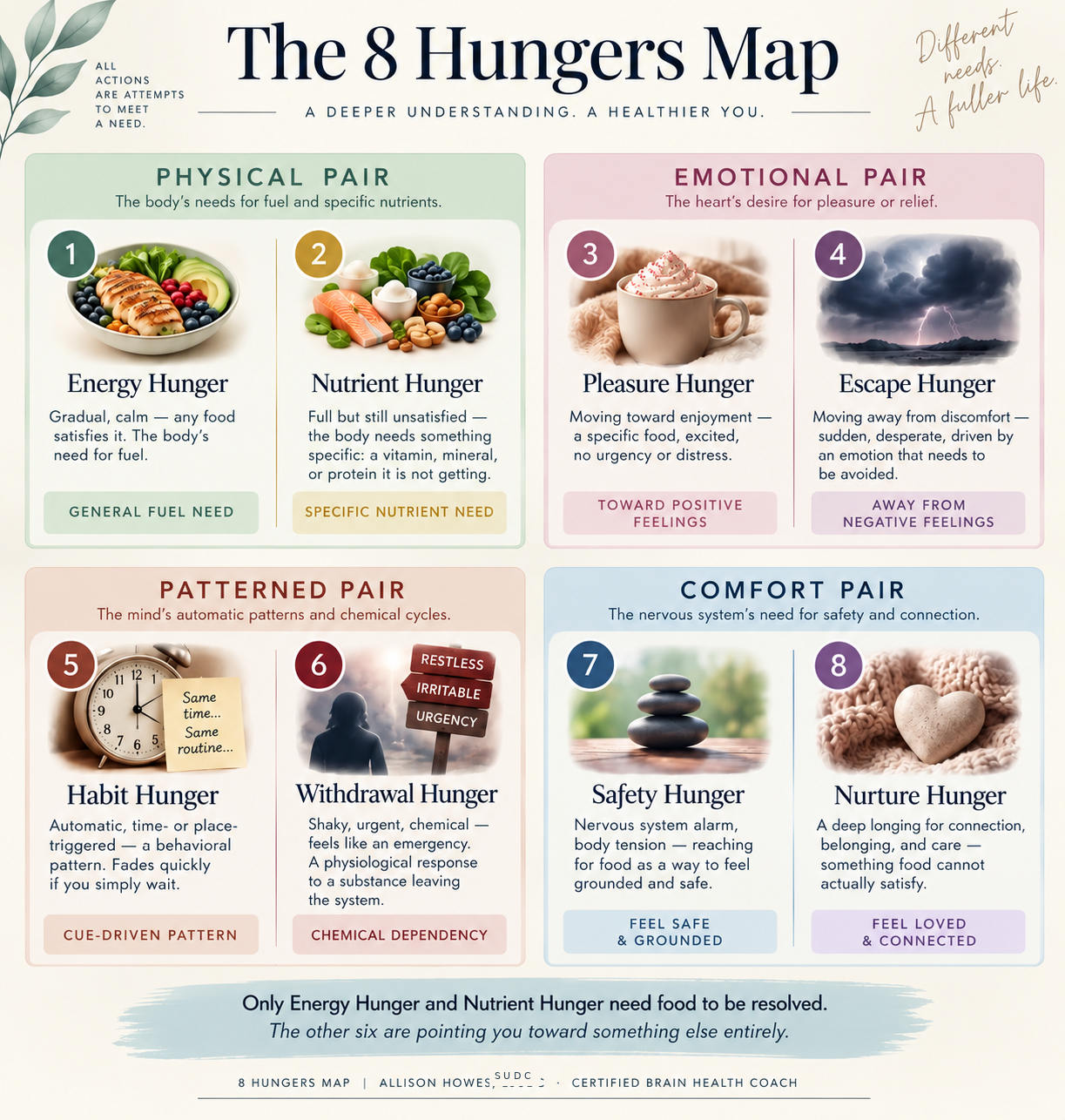 Eight hunger types: Energy, Nutrient, Pleasure, Escape, Habit, Withdrawal, Safety and Nurture